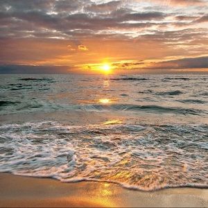 Meet your Posher, Micah